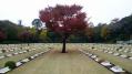 英連邦戦死者墓地4