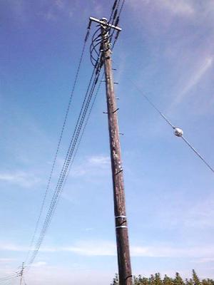 木の電柱