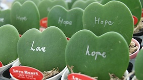 LOVE&HOPE