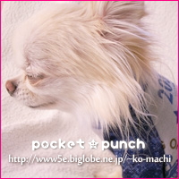pocket★punchへ