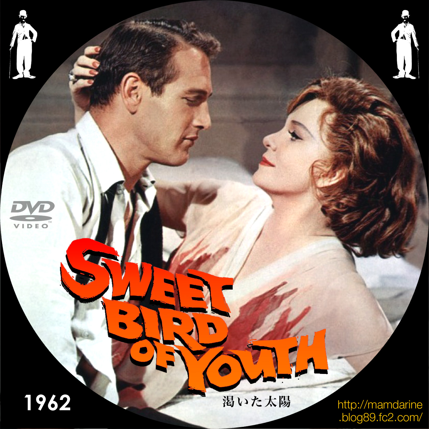 美しき女たち男たち 「渇いた太陽」 Sweet Bird of Youth（1962）