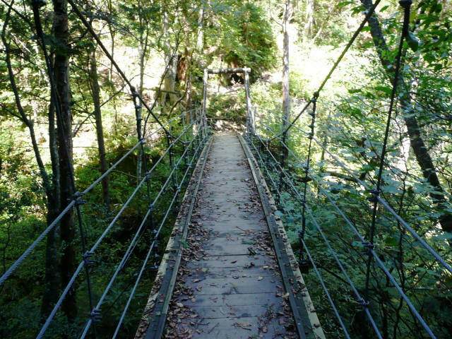 不動の吊橋6