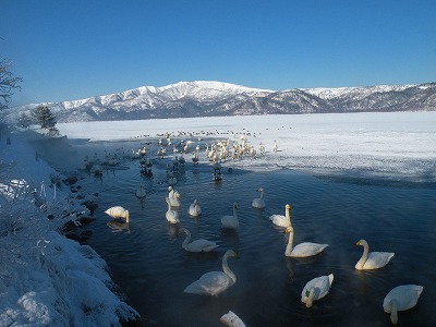 屈斜路湖が全面凍結
