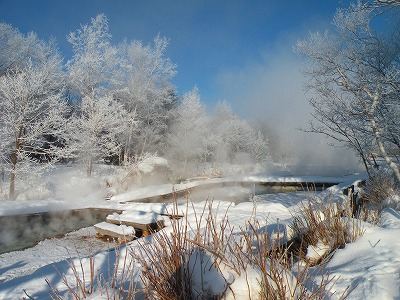 川湯の朝の樹氷