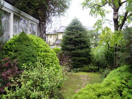 my-garden 030